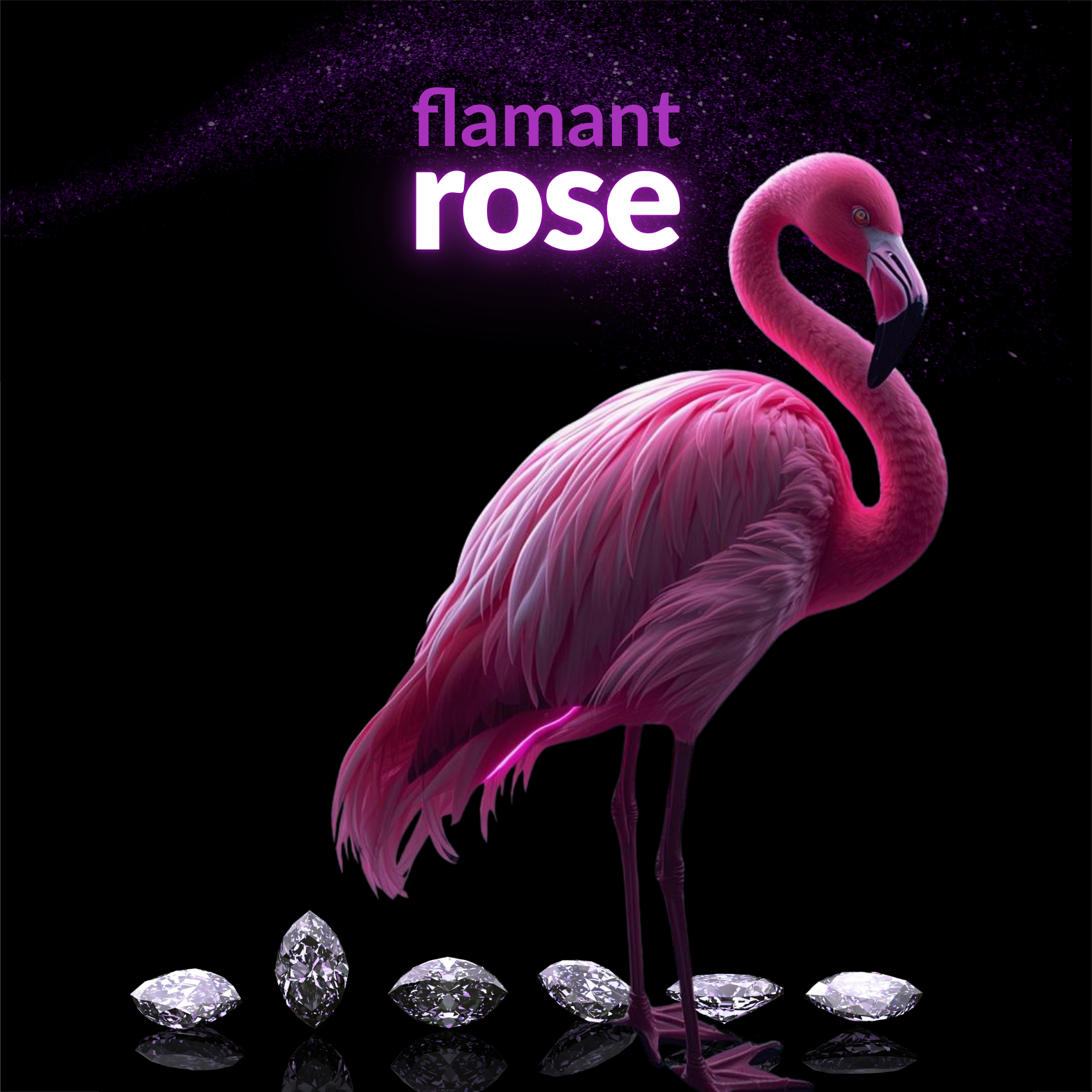 Flamenco  Rosa